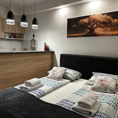Cozy Studio Cik-Cak Doboj Esterno foto
